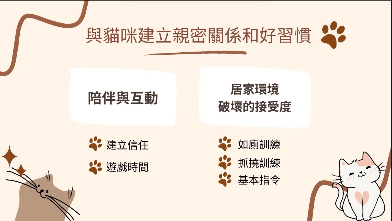 與貓咪建立好關係和習慣