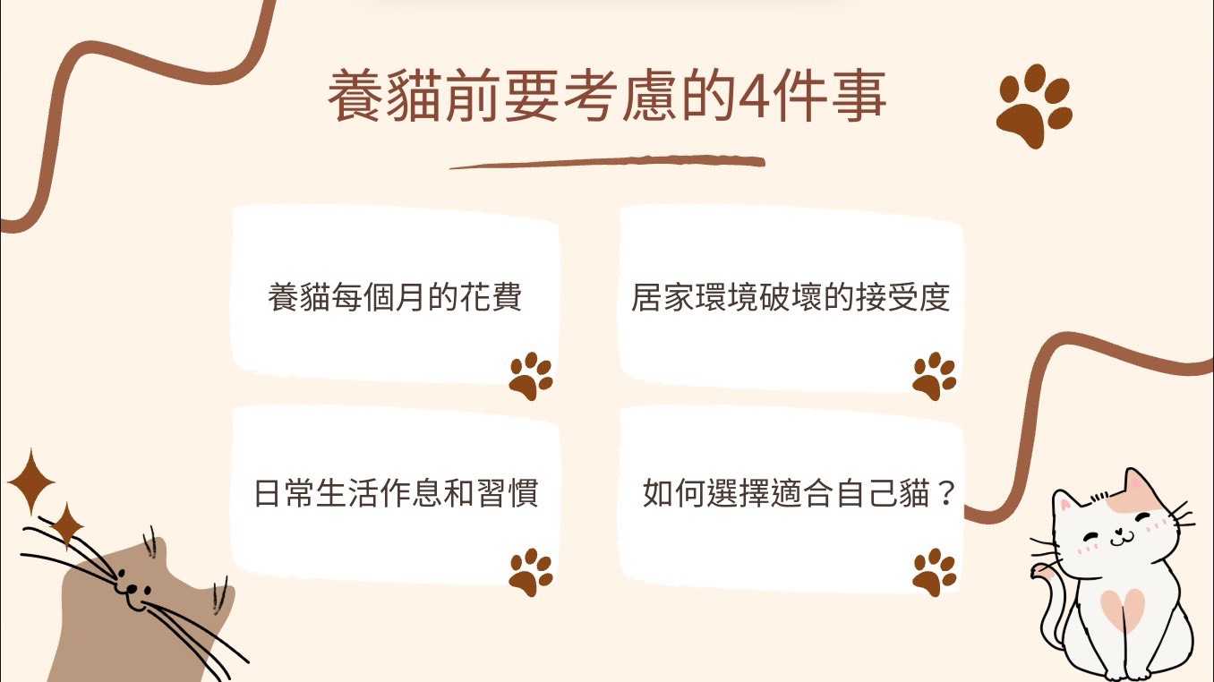 養貓前要知道的事