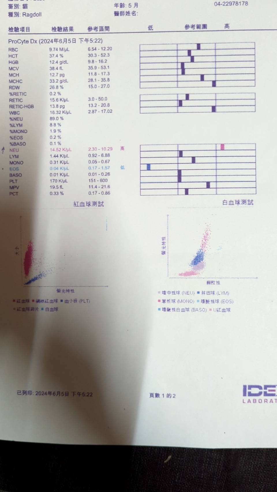 CBC報告