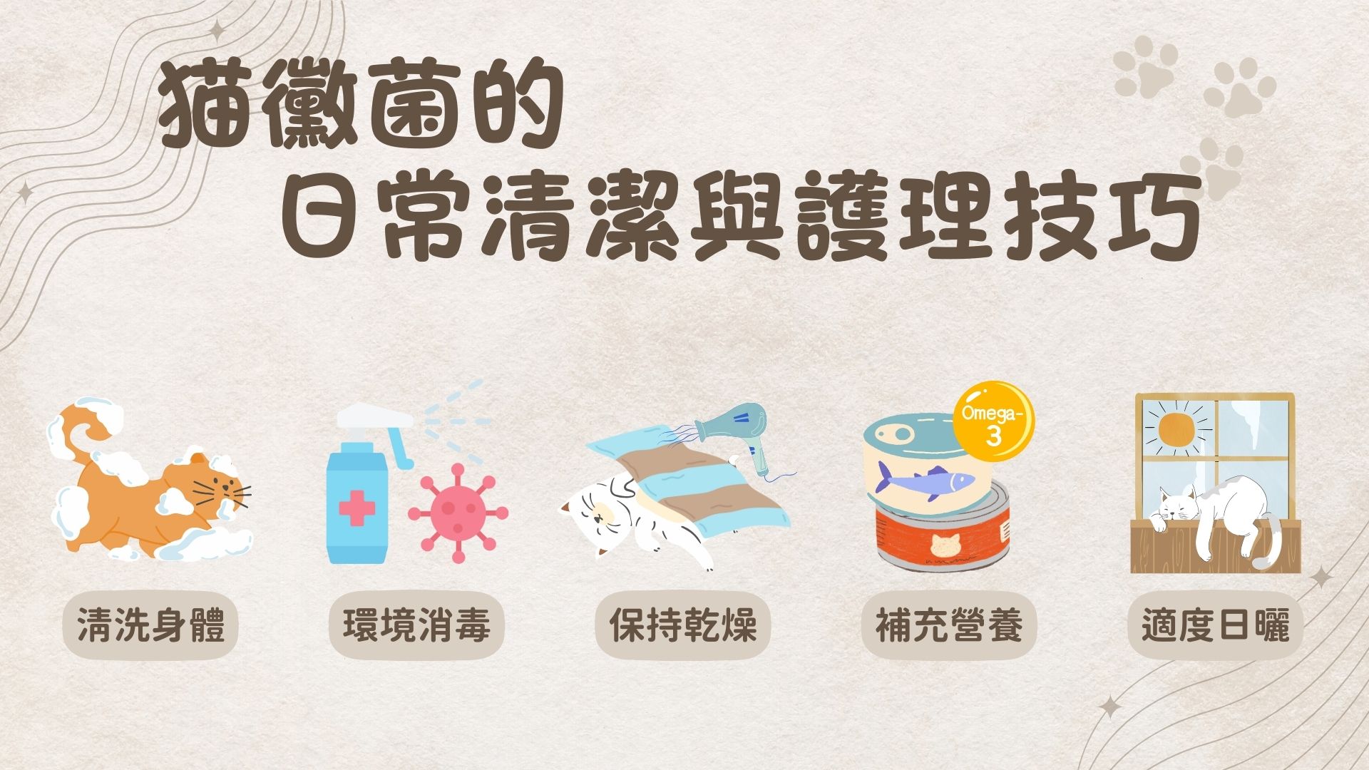 貓黴菌的照顧方法