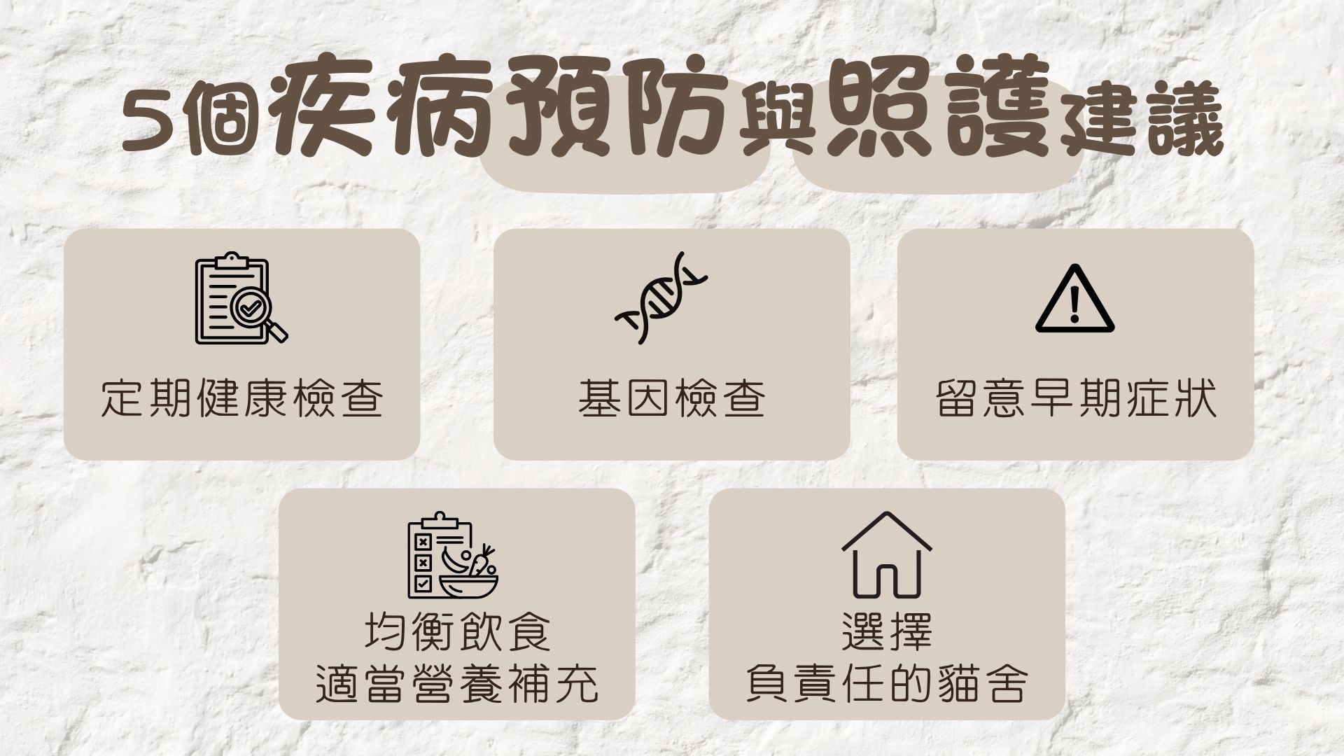 預防貓咪疾病