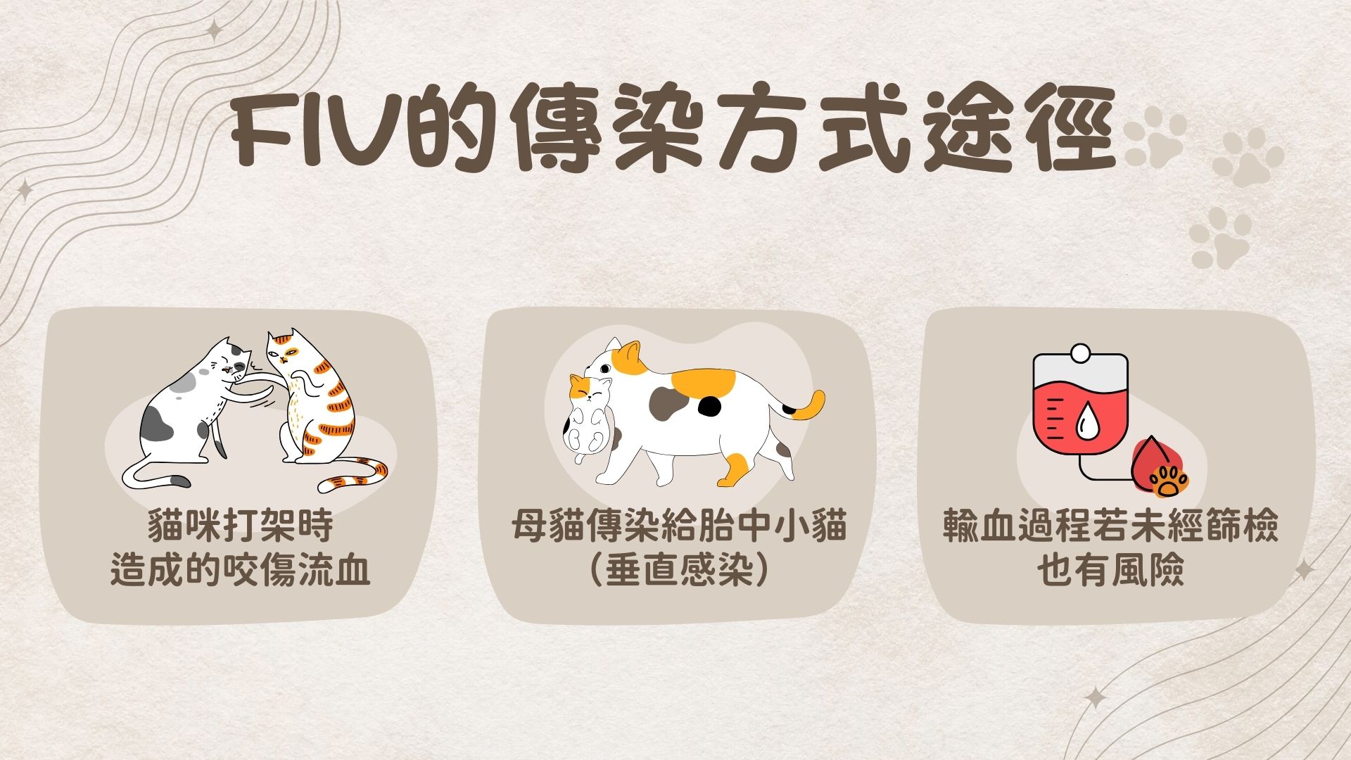 FIV透過哪些方式傳染