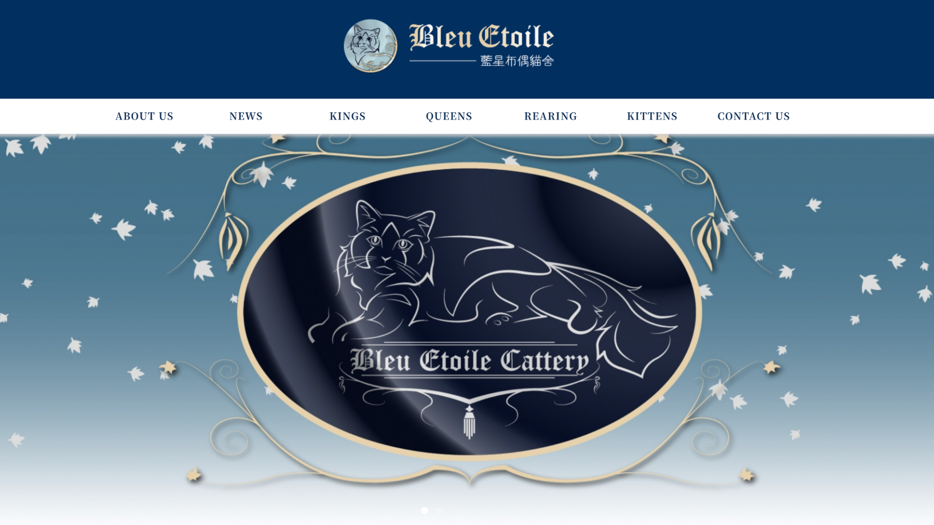 台中布偶貓貓舍推薦藍星布偶貓舍