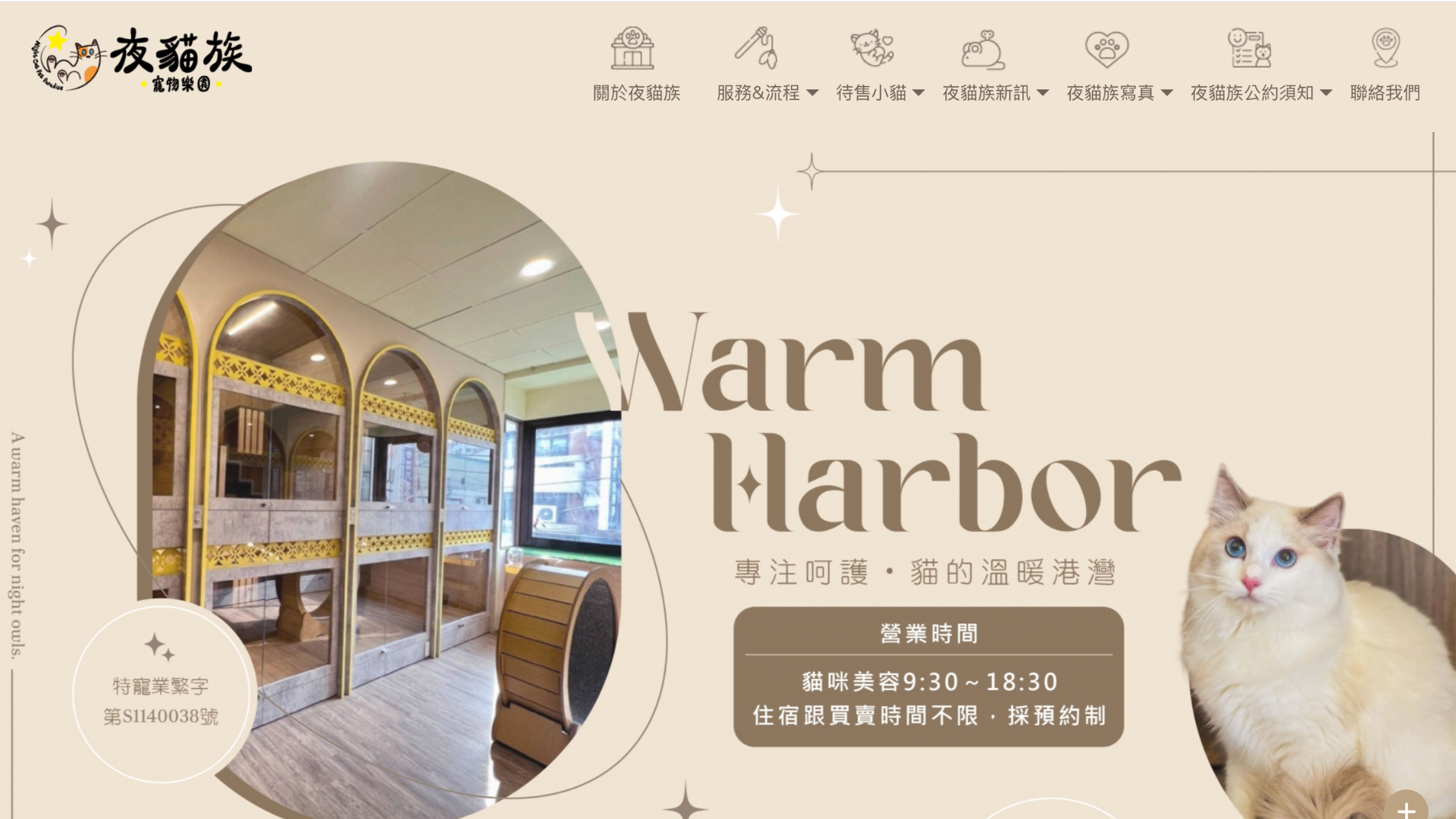 台中布偶貓貓舍推薦夜貓族寵物樂園