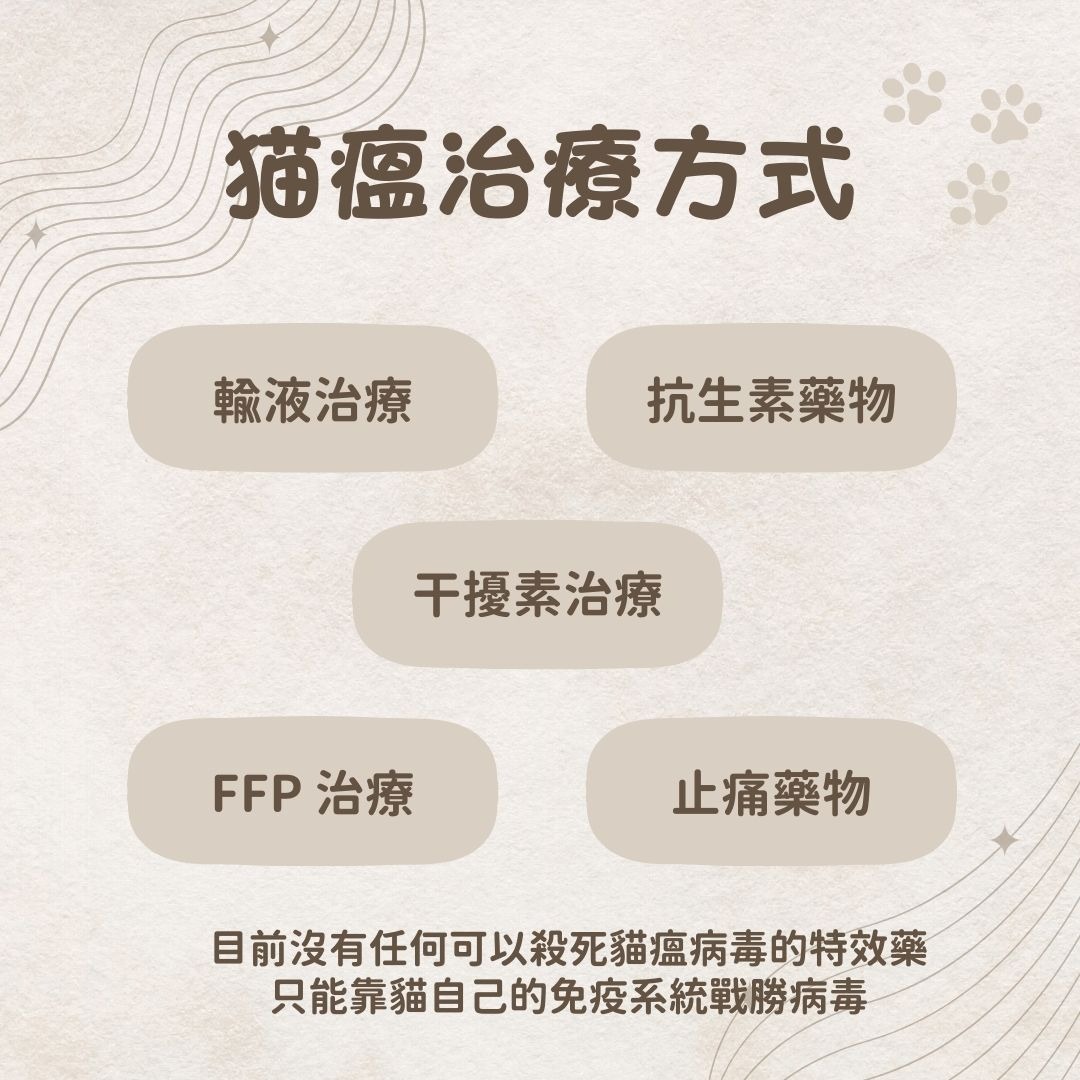 貓瘟如何治療