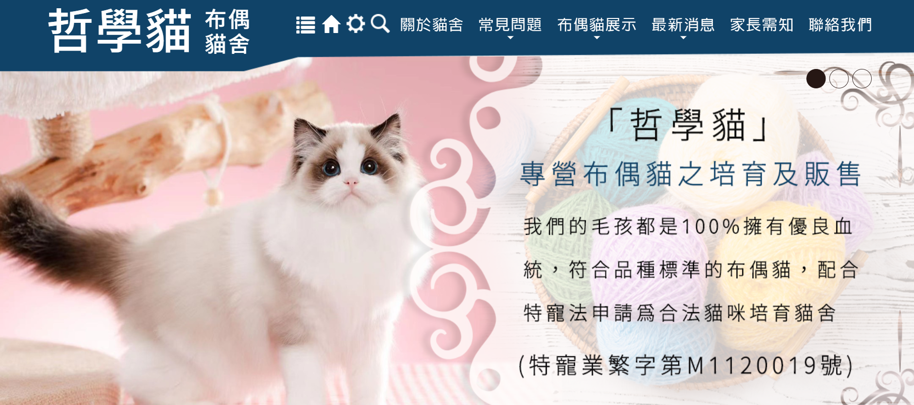 哲學貓布偶貓舍