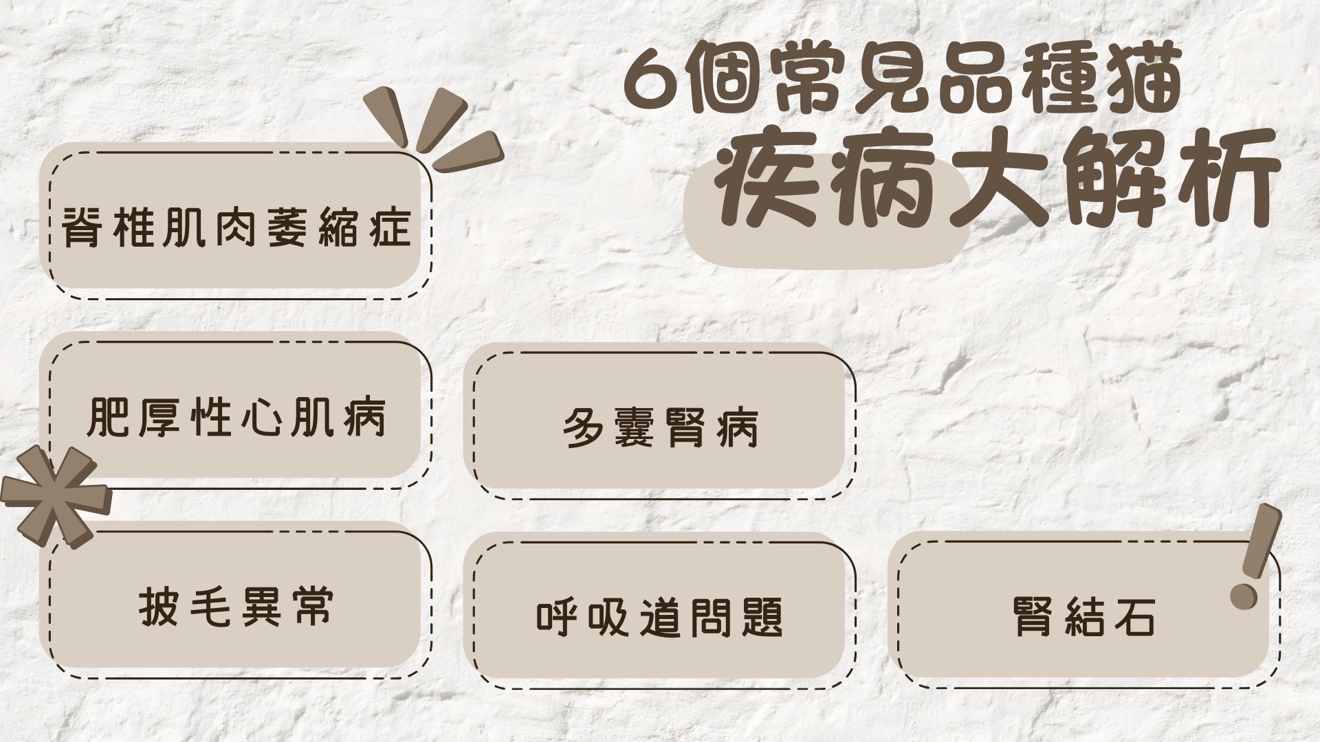 貓咪疾病