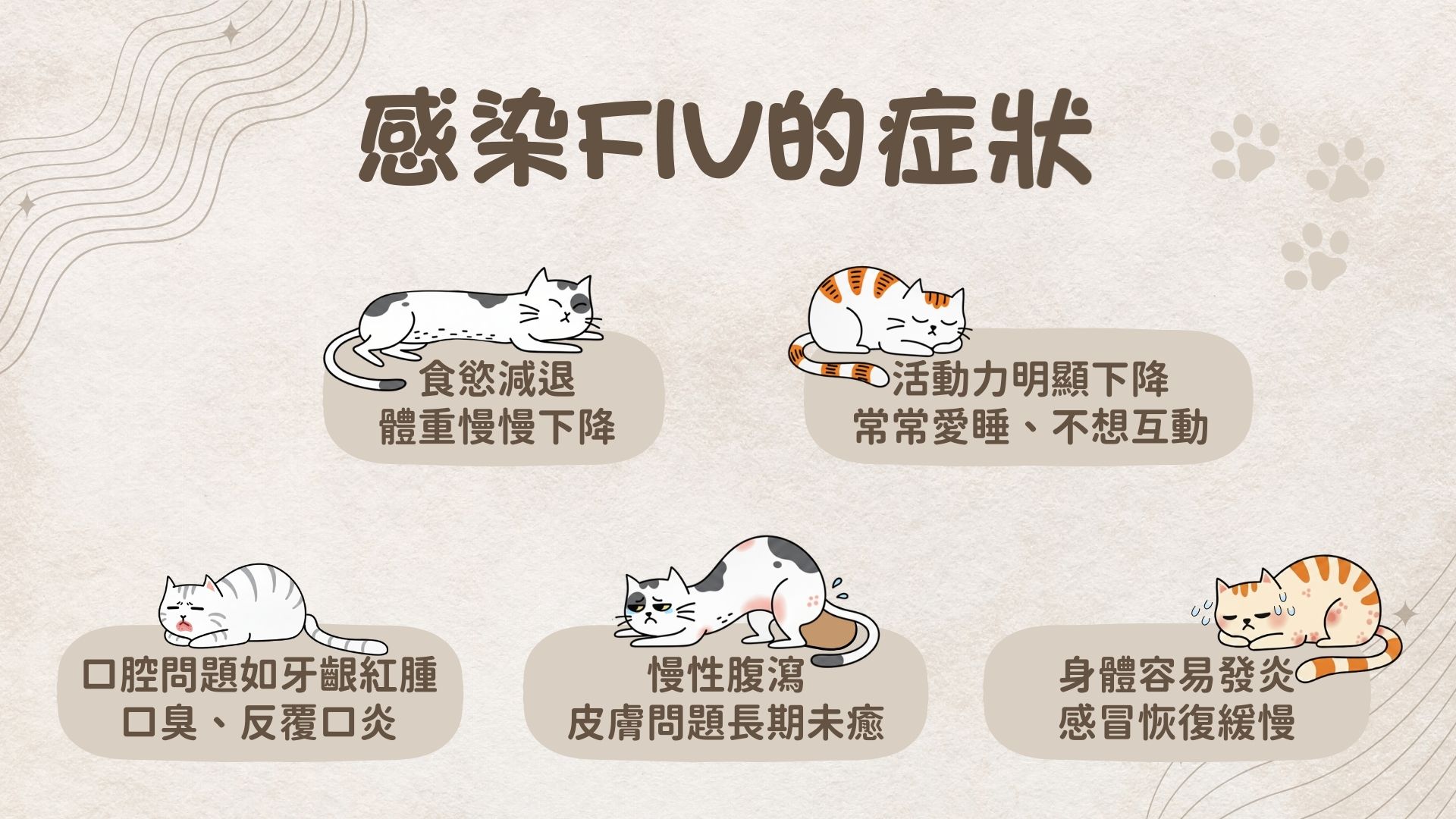FIV有什麼症狀